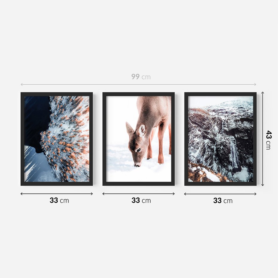 Zestaw obrazy w ramie 30x40 galeria - Sarna, zima, w, górach - rama czarna