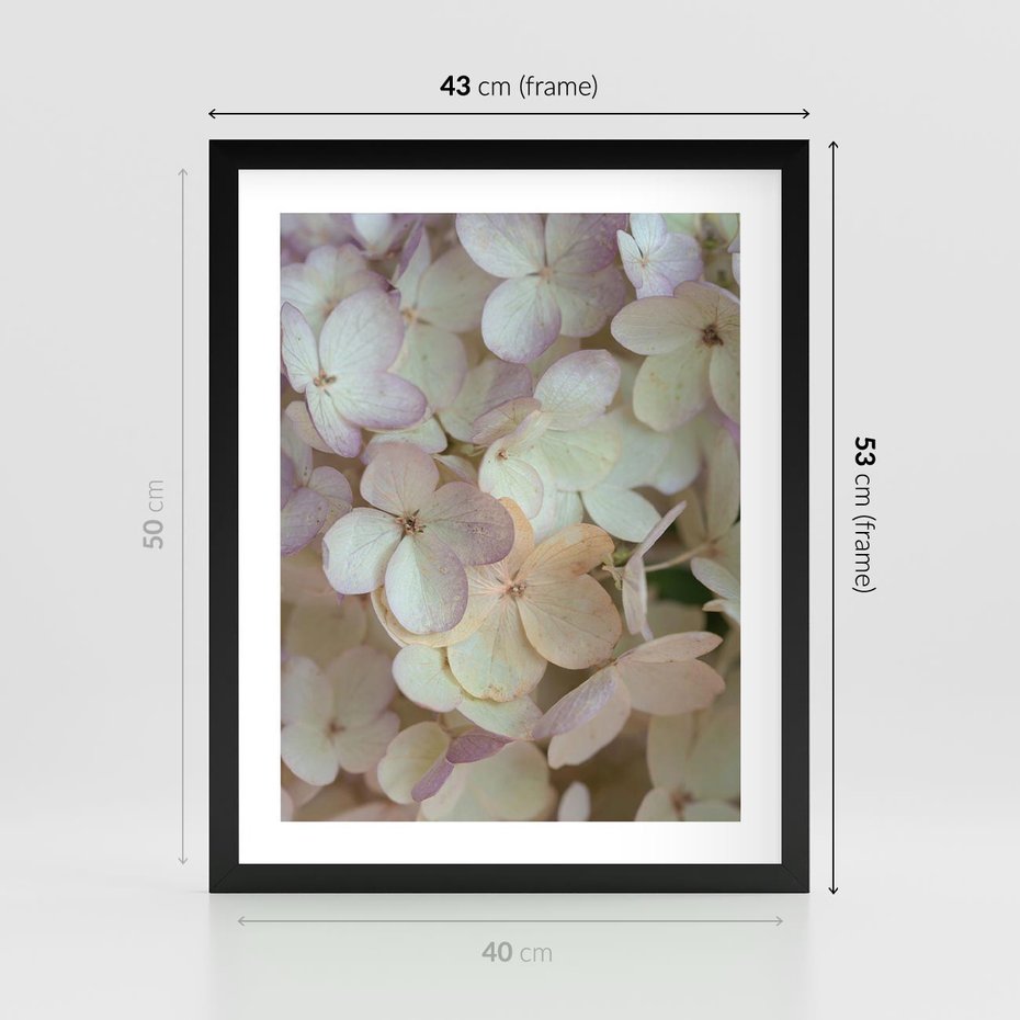 Plakat w ramie 40x50 - Kwiatowy taniec - kwiaty, hortensje - rama czarna
