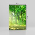 Obraz na płótnie 70x100 - Urok lasu na drodze - las, drzewa