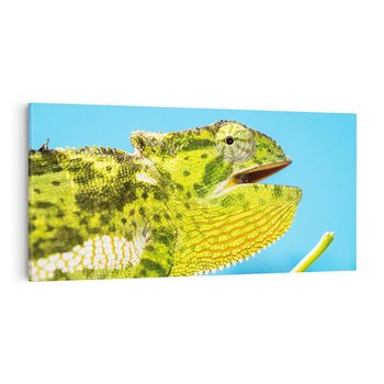 Obraz na płótnie 120x60 - Kameleon w swoim świecie - kameleon, jaszczurka