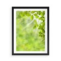 Plakat w ramie 50x70 - Zielone liście natury - liści, zieleń - rama czarna