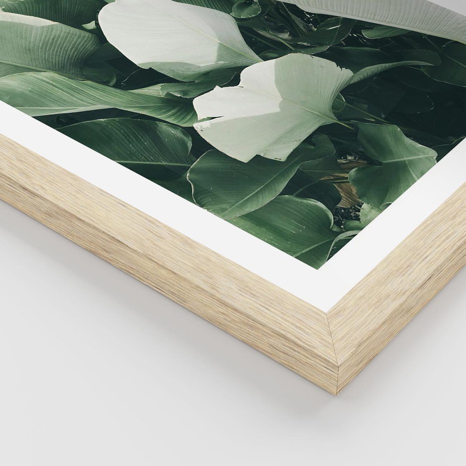 Plakat w ramie 40x50 - Zgaszona Uroda Natury - zielone liście, zgaszona zieleń - rama drewno