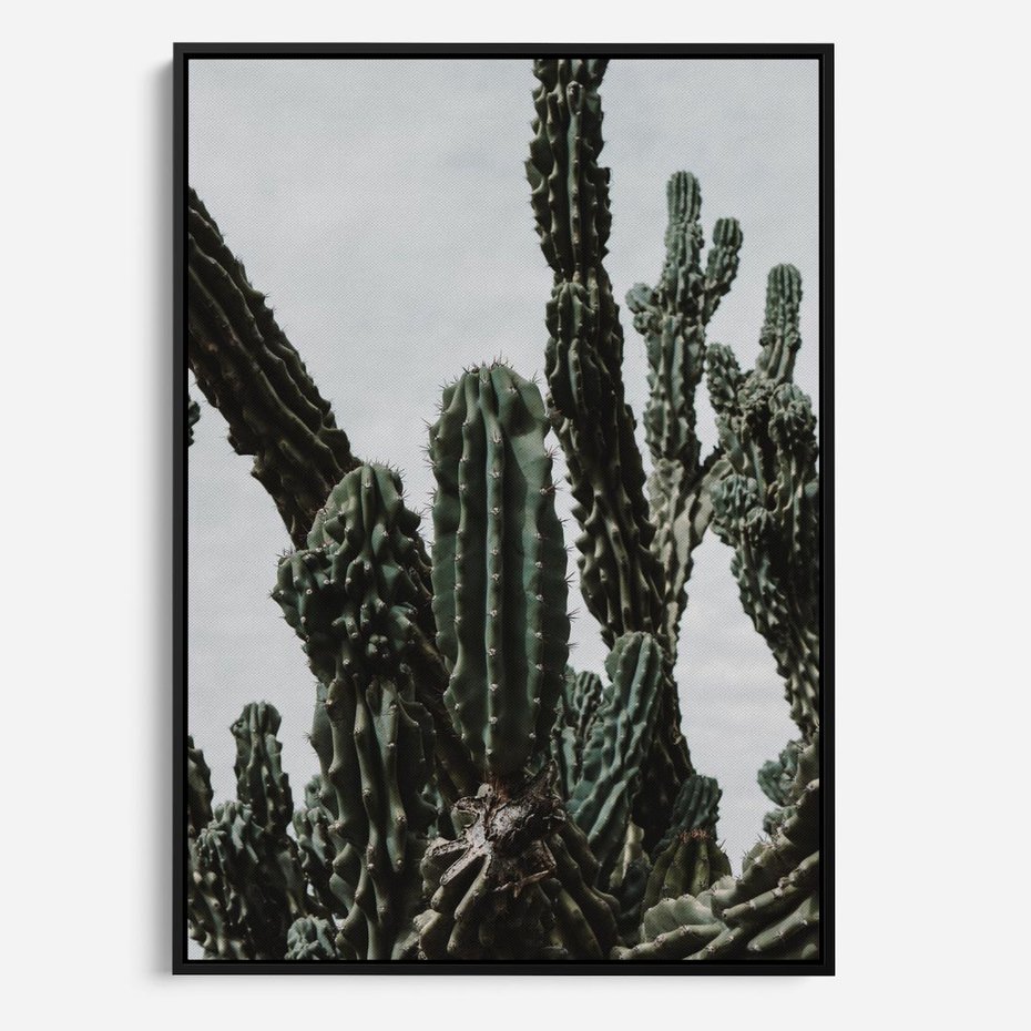 Obraz w ramie 50x70 - Boho oaza wśród kaktusów - kaktusy, pustynia - rama czarna