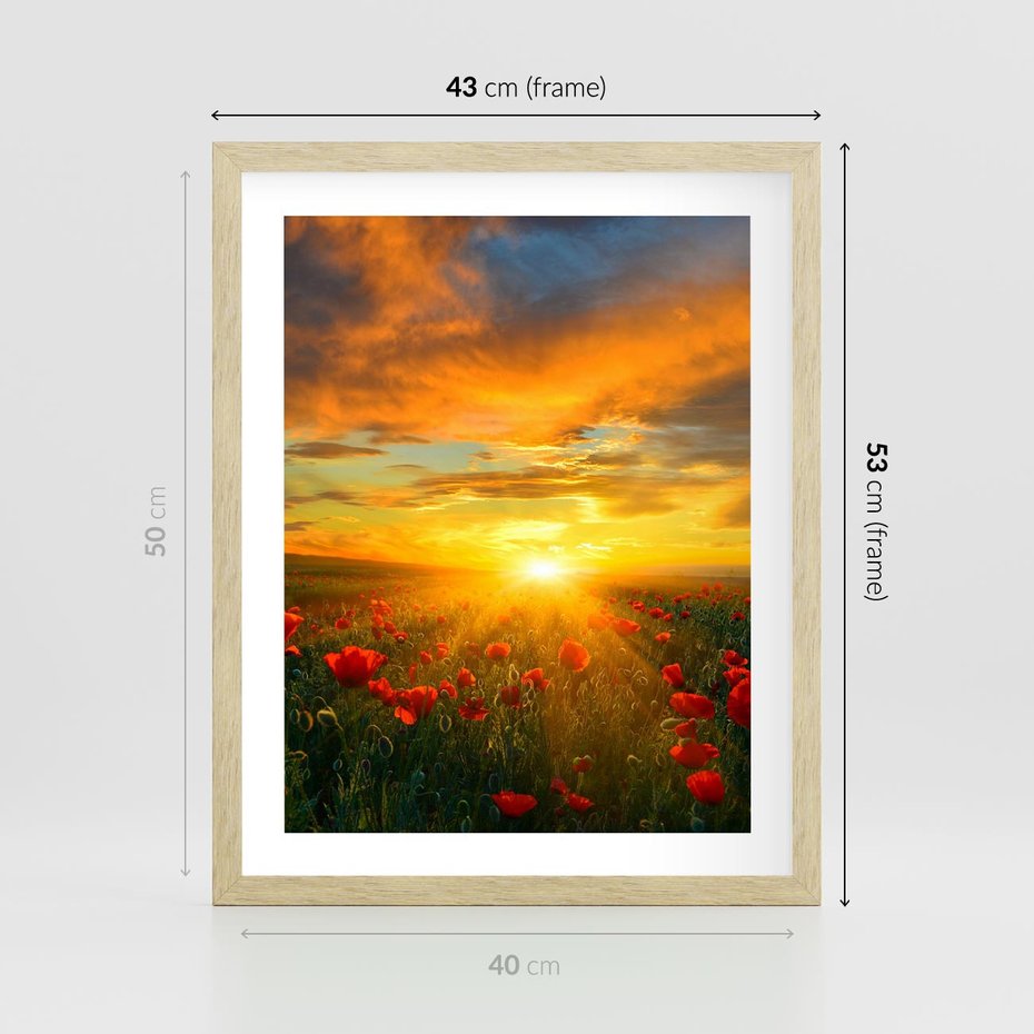Plakat w ramie 40x50 - Magia zachodu słońca na łące z makami - łąka, zachód słońca - rama drewno