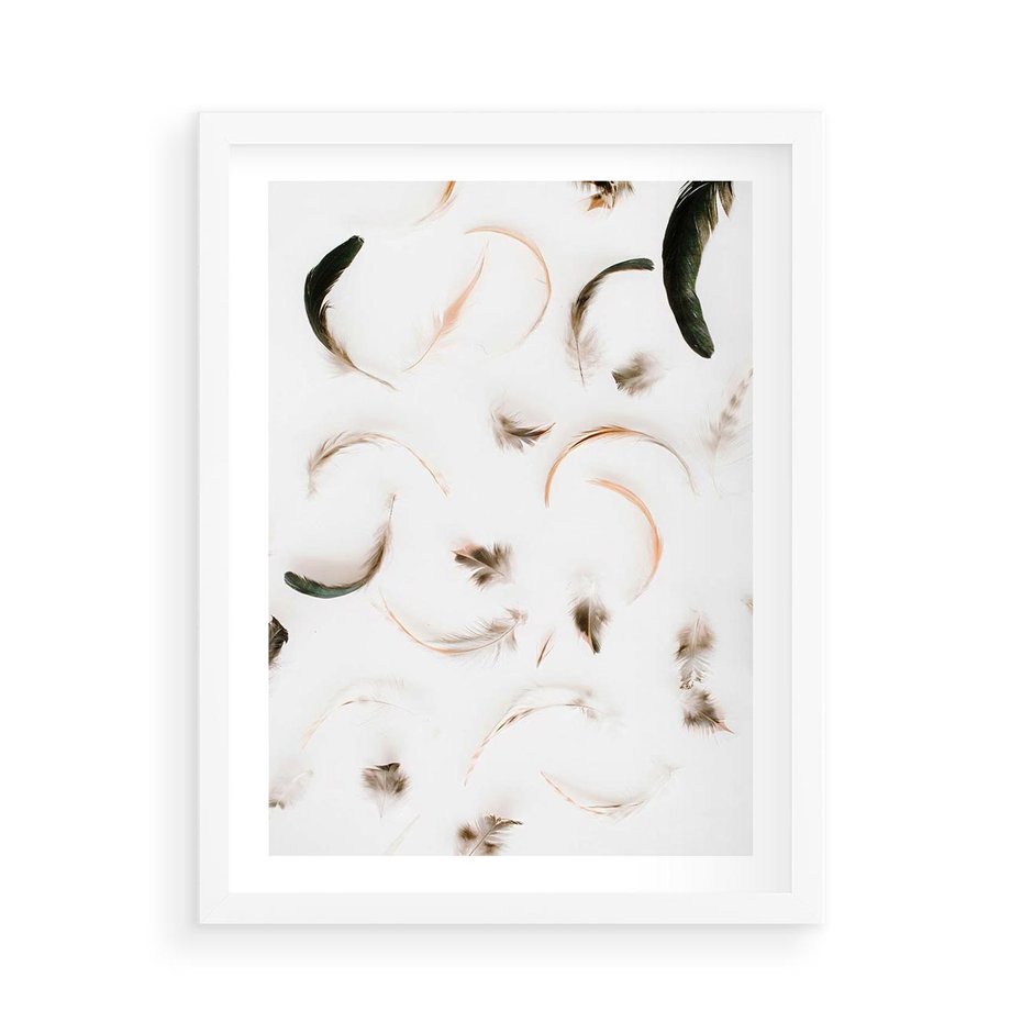 Plakat w ramie 50x70 - Kompozycja z Piór - pióra, kompozycja - rama biała
