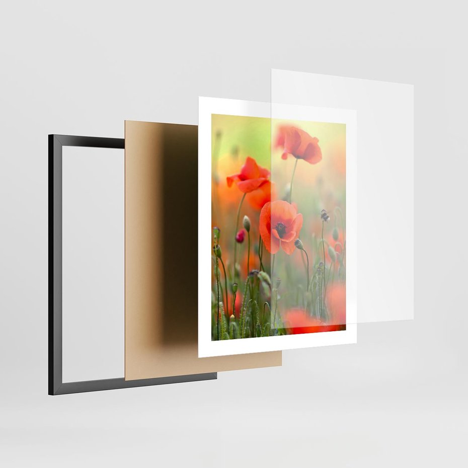 Plakat w ramie 40x50 - Makowa Pasja - maki, kwiaty - rama czarna