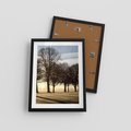 Plakat w ramie 30x40 - Siła natury - drzewa, pole - rama czarna