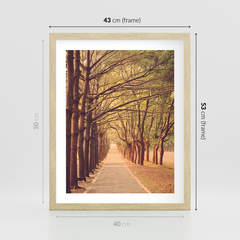 Plakat w ramie 40x50 - Wędrówka między drzewami - droga, drzewa - rama drewno