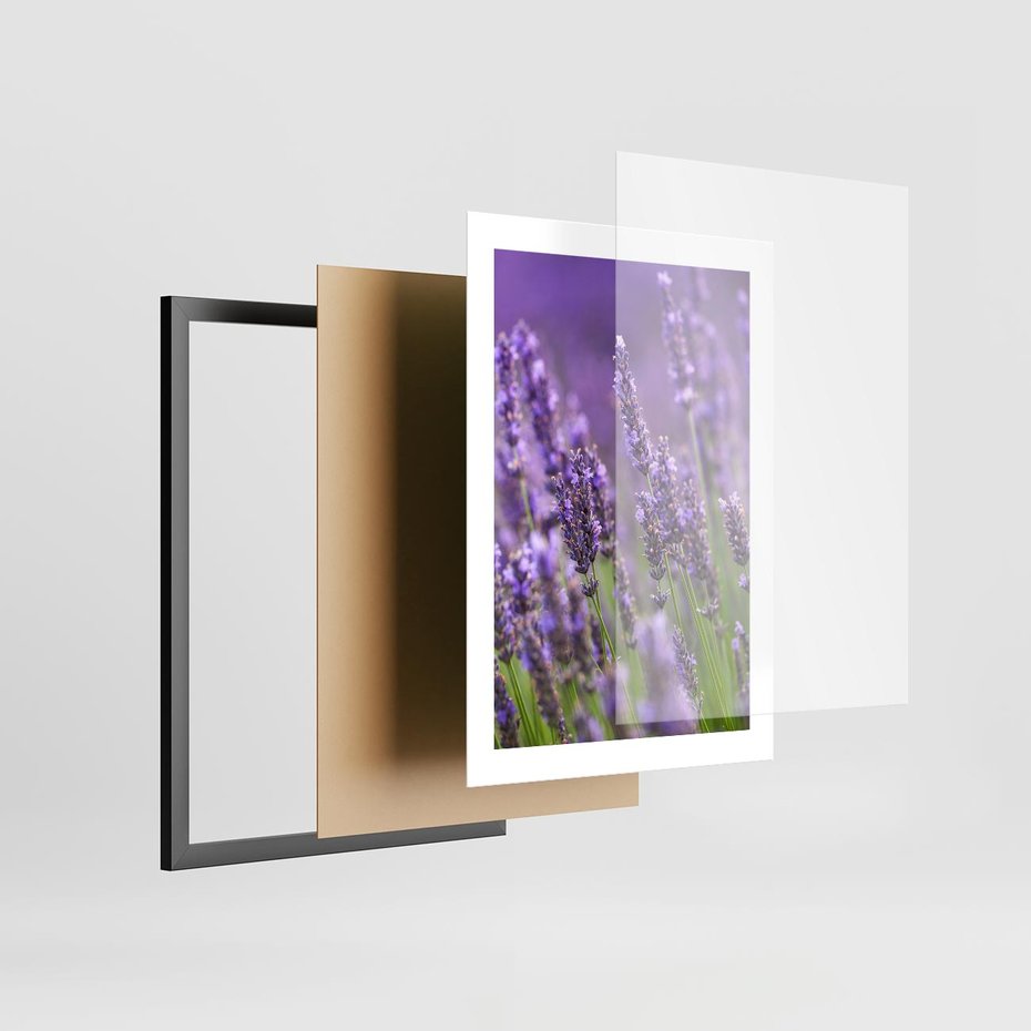 Plakat w ramie 30x40 - Urok lawendy - lawenda, kwiaty - rama czarna
