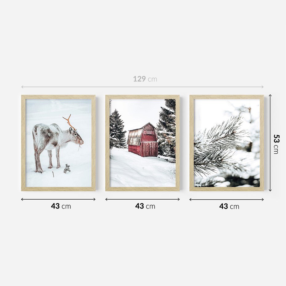 Zestaw obrazy w ramie 40x50 galeria - Zimowy, widok, renifer - rama drewno