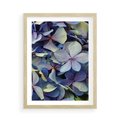 Plakat w ramie 50x70 - Hortensja - delikatność kwiatów - hortensja, kwiaty - rama drewno