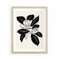 Plakat w ramie 50x70 - Spojrzenie w kształty kwiatów - kwiaty magnolii, minimalizm - rama drewno