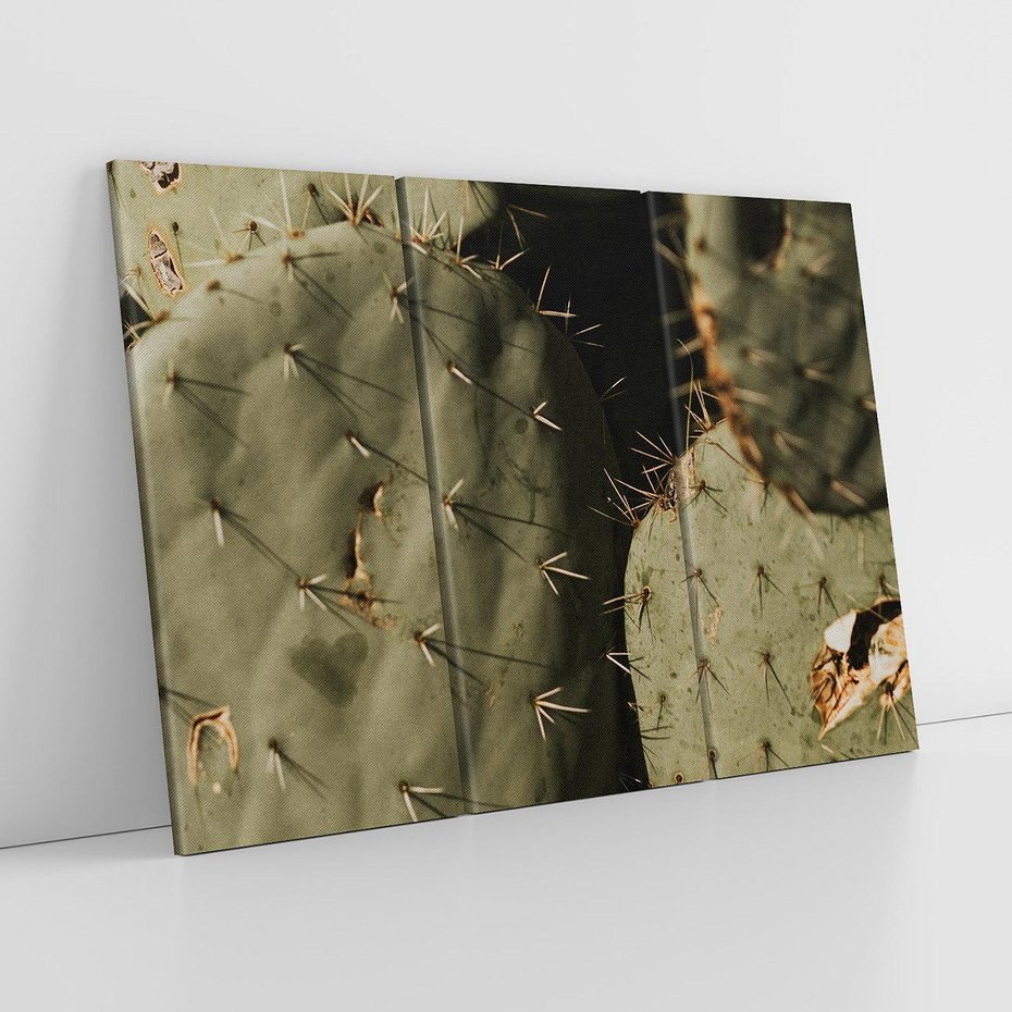 Obraz na płótnie 120x80 - Urok Egzotyki - kaktusy, boho