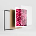 Plakat w ramie 40x50 - Romantyczne róże w pełnym rozkwicie - róże, kwiaty - rama czarna