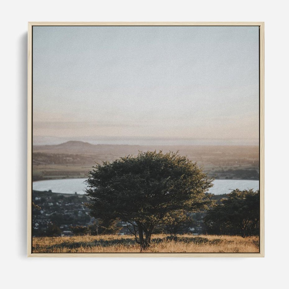 Obraz w ramie 50x50 - Siła Natury - drzewo, pejzaż - rama drewno