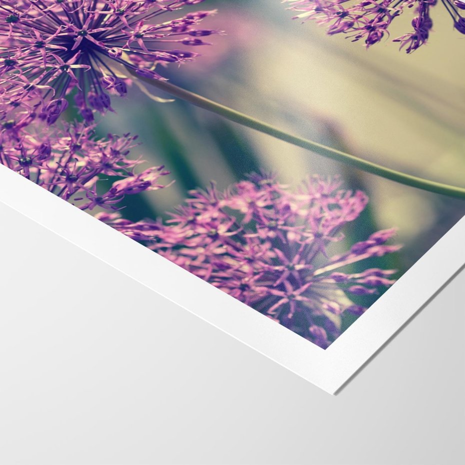 Plakat bez ramy 40x50 - Kwiatowa łąka w pełnym rozkwicie - kwiaty, łąka