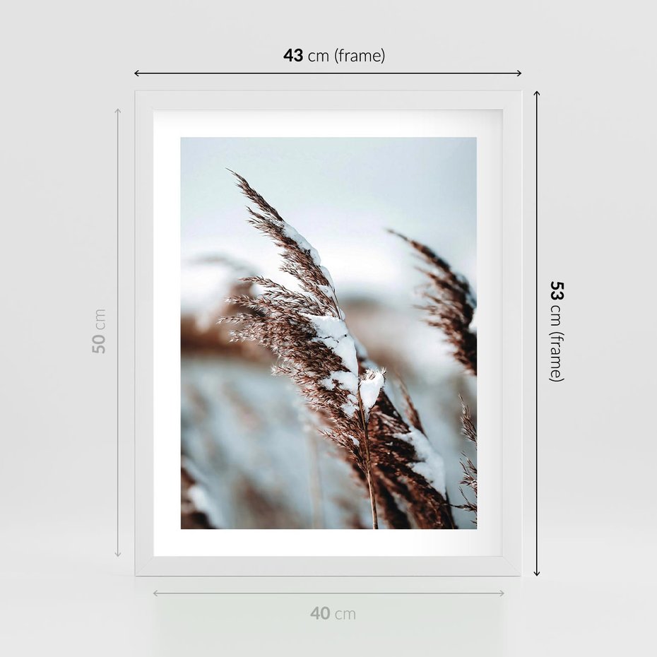 Plakat w ramie 40x50 - Zima na Suchych Trawach - suche trawy, śnieg wysokich na trawach - rama biała