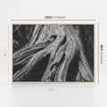 Obraz w ramie 120x80 - Siła Natury - czarno biała fotografia, korzenie wielkiego drzewa - rama drewno