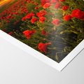 Plakat bez ramy 30x40 - Maki przy zachodzie słońca - maki, zachód