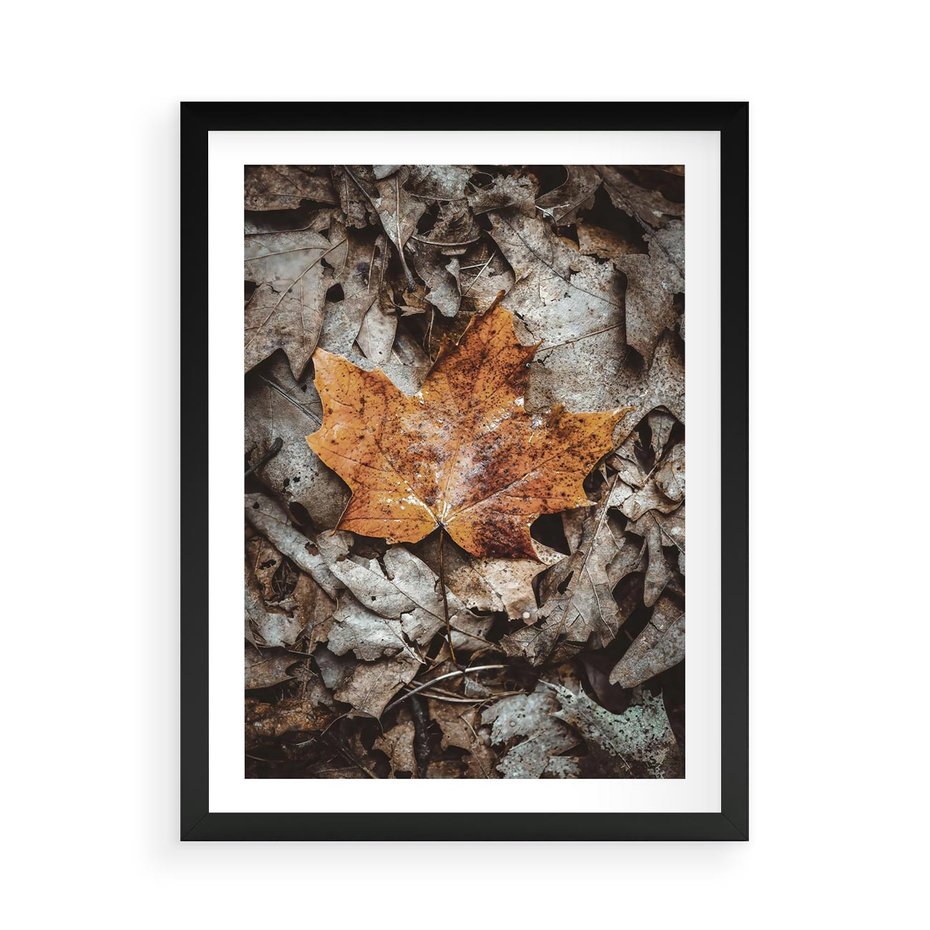 Plakat w ramie 50x70 - Jesienne Czarowanie - suchy liść, żółty - rama czarna