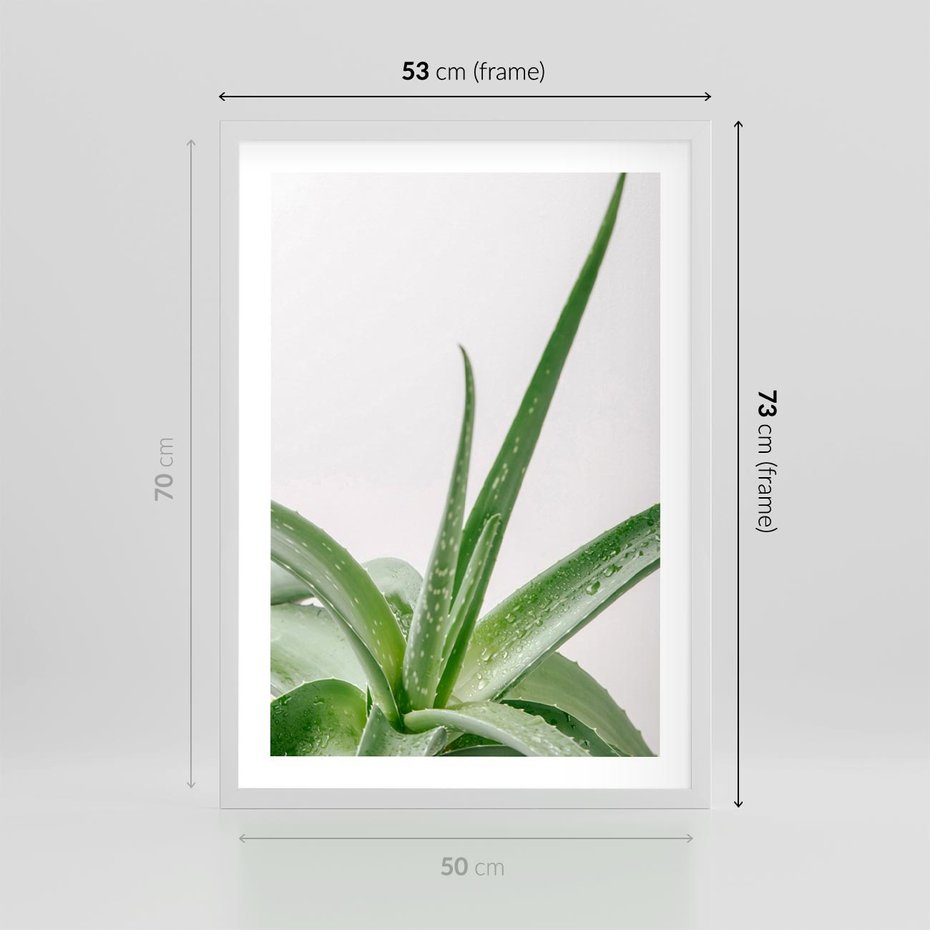 Plakat w ramie 50x70 - Zielone Piękno - aloes, liście - rama biała