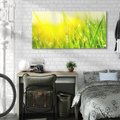Obraz na płótnie 120x60 - Piękno Poranka - łąka, trawa