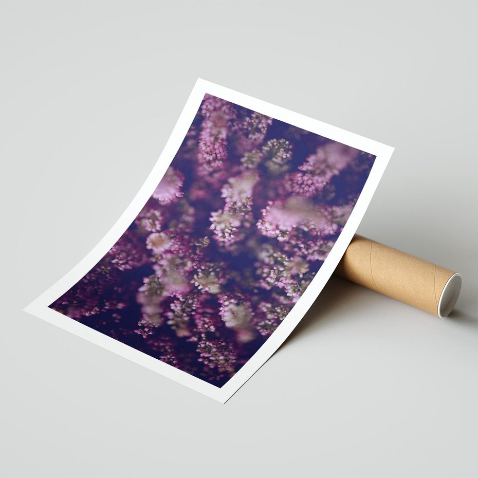 Plakat bez ramy 30x40 - Wrzosowa Delikatność - wrzosy, kwiaty