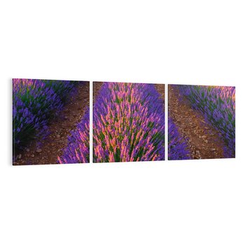Obraz na płótnie 90x30 - Fioletowa Magia - pole, lawendy