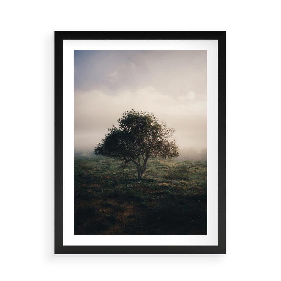 Plakat w ramie 50x70 - Zamglona Prostota - artystyczna fotografia, samotne drzewo na zamglonej łące - rama czarna