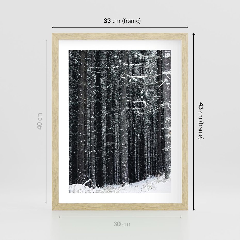 Plakat w ramie 30x40 - Leśna Cisza: Malowniczy Pejzaż Zimą - las zimą, ośnieżone pnie drzew - rama drewno