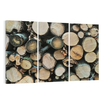 Obraz na płótnie 120x80 - Bliskość Natury - drewno, las