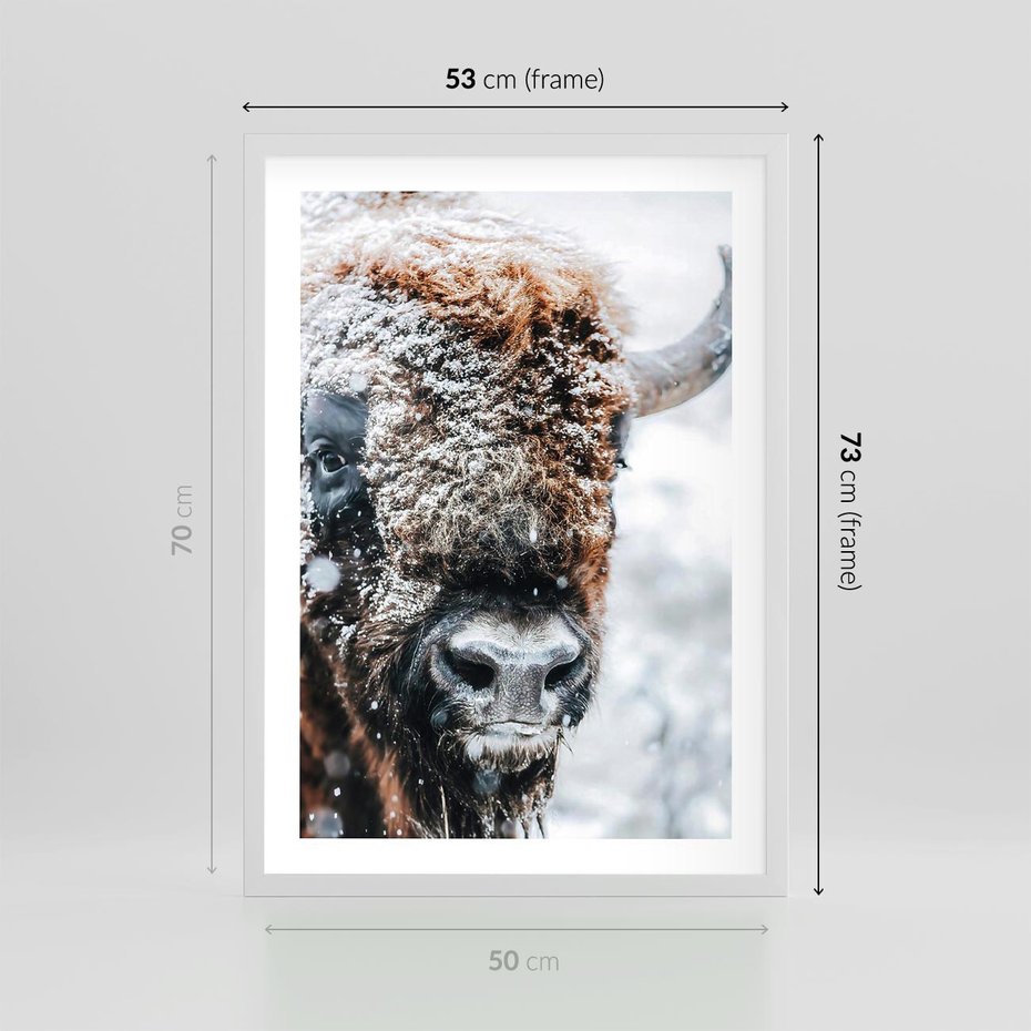 Plakat w ramie 50x70 - Żubr w Krainie Śniegu - żubr, zima - rama biała