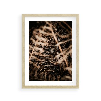 Plakat w ramie 30x40 - Liście i Paprocie - suche liście, paprocie - rama drewno