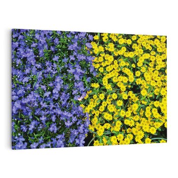 Obraz na płótnie 70x50 - Tulipanowe Elegancja - kwiat, kwiaty