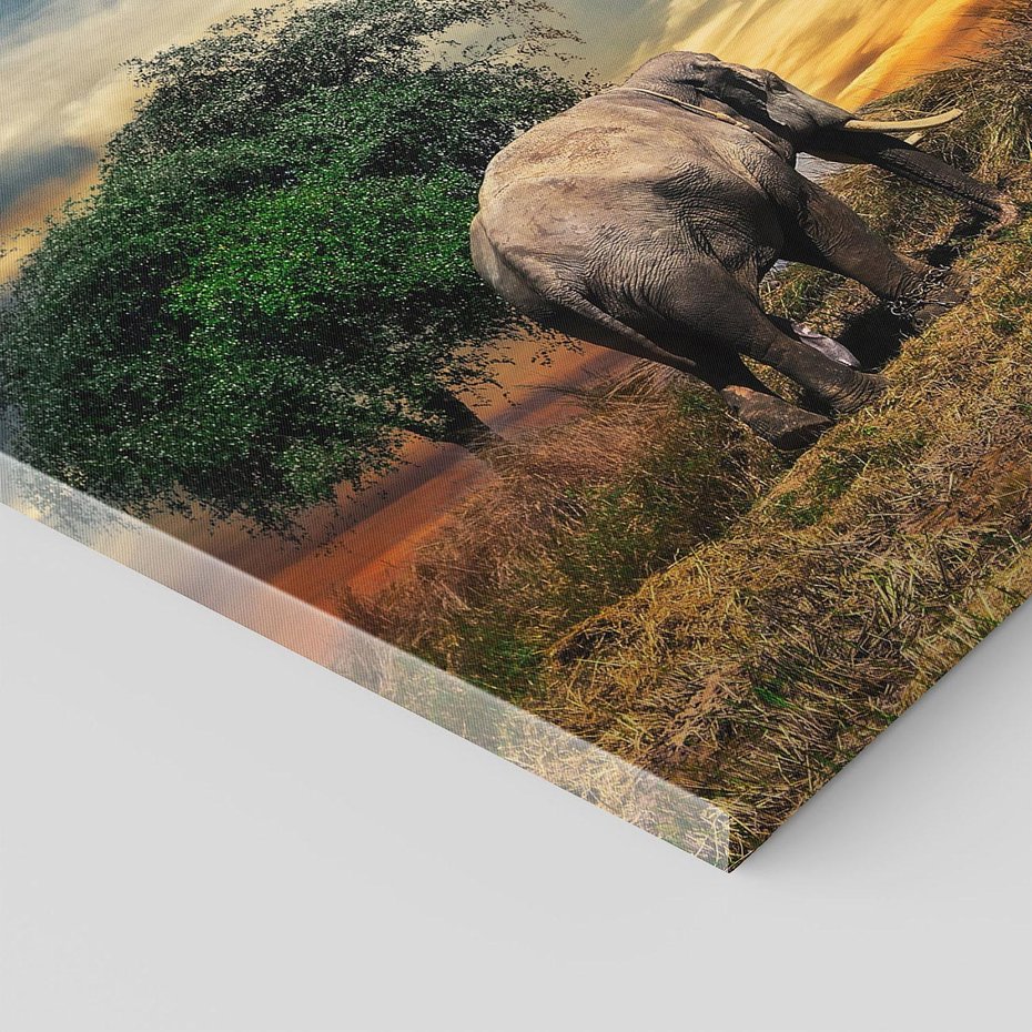 Obraz na płótnie 120x80 - Potęga słonia na afrykańskiej sawannie - słoń, sawanna