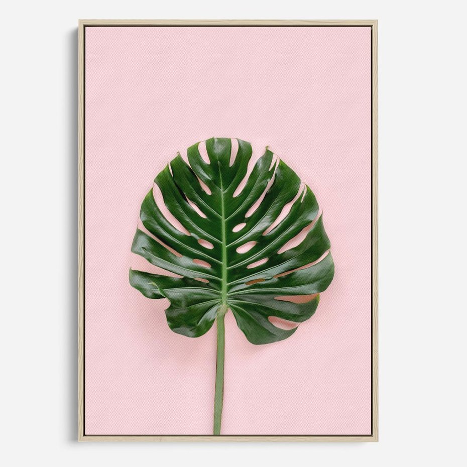 Obraz w ramie 70x100 - Egzotyczna Roślinność - liście, monstera - rama drewno