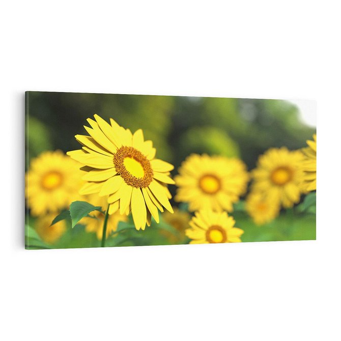 Obraz na płótnie 100x50 - Kwiatowa łąka - kwiaty, łąka