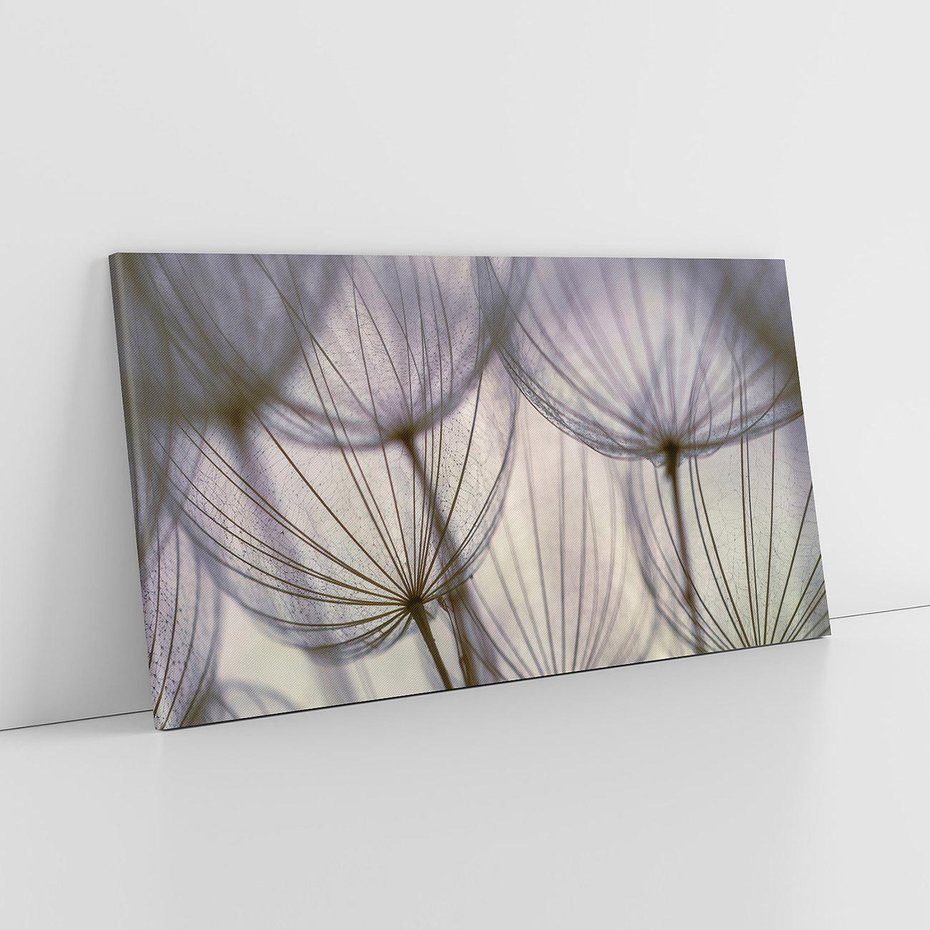 Obraz na płótnie 120x60 - Makro dmuchawiec - piękno drobnych detali - dmuchawce, makro