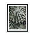 Plakat w ramie 50x70 - Ujęcie Tropikalnej Natury - palmy, liście palmy - rama czarna