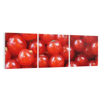 Obraz na płótnie 120x40 - Pożeczka - Czerwony Skarb - pożeczka, owoc