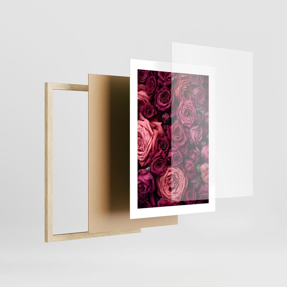 Plakat w ramie 30x40 - Róże - piękno kwiatów - róże, kwiaty - rama drewno