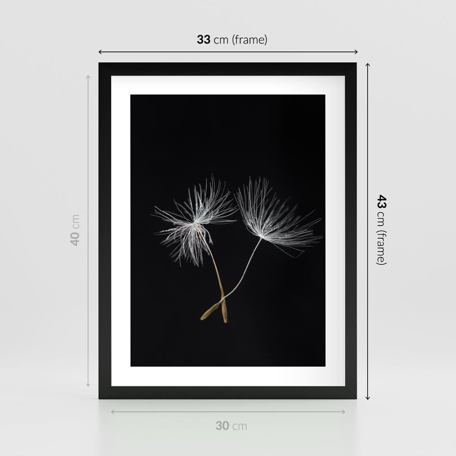 Plakat w ramie 30x40 - Delikatność Wiatru - dmuchawce, makro - rama czarna