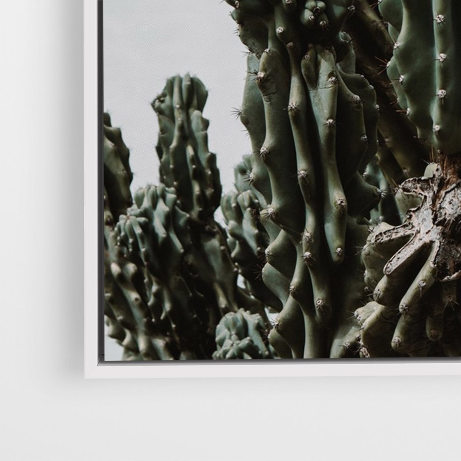 Obraz w ramie 80x120 - Boho oaza wśród kaktusów - kaktusy, pustynia - rama biała