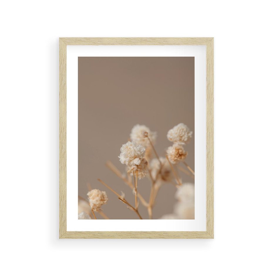 Plakat w ramie 30x40 - Przezroczyste piękno - gipsówka, suche - rama drewno