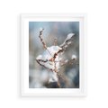Plakat w ramie 40x50 - Zimowy Urok Natury - gałązki pod śniegiem, natura - rama biała