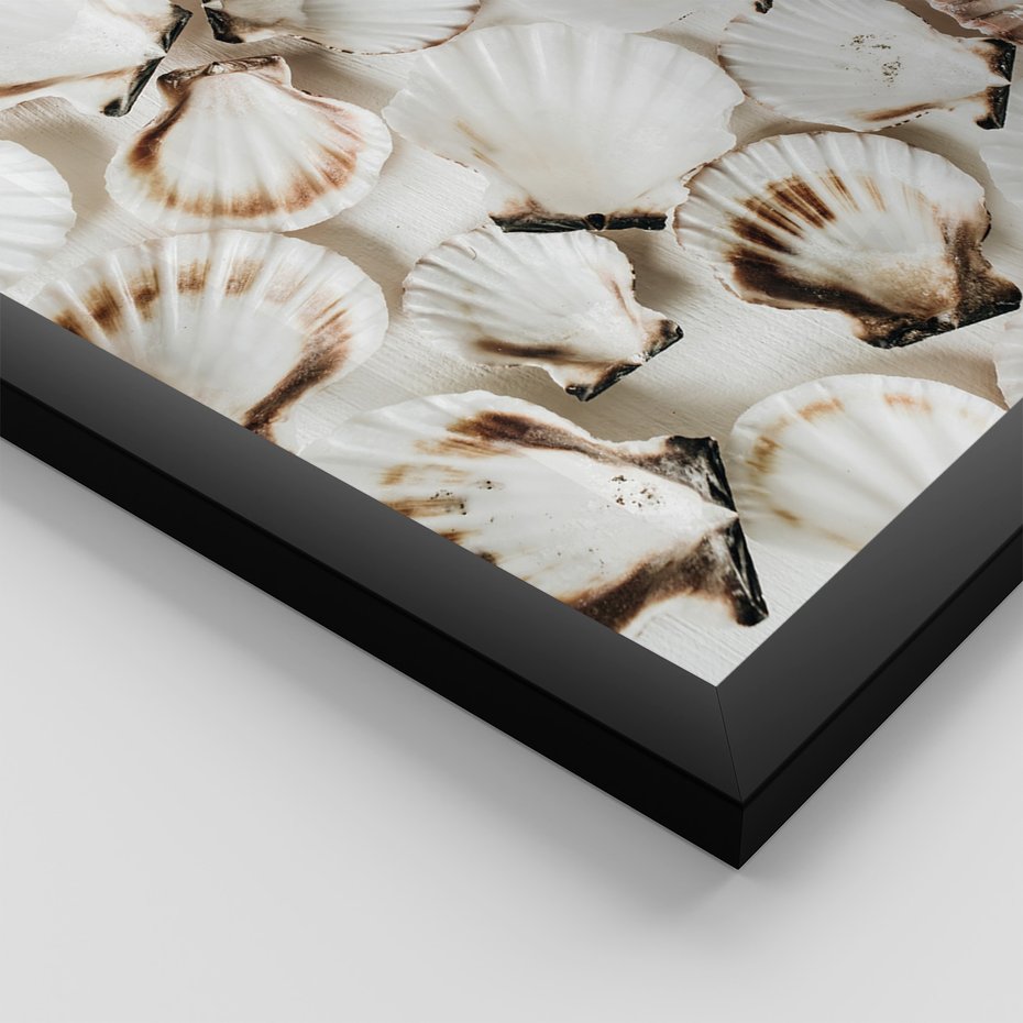 Zestaw obrazy w ramie 40x50 galeria - Morze, muszla, zachód, słońca - rama czarna