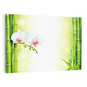Obraz na płótnie 100x70 - Orchidea, Bambus i Relaks w SPA - orchidea, kwiat