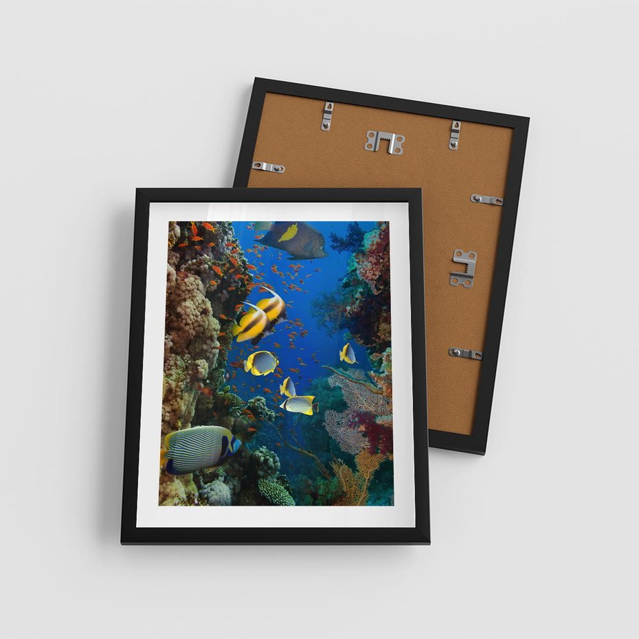 Plakat w ramie 40x50 - Podwodne królestwo rafy koralowej - rafa, koralowa - rama czarna
