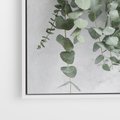 Obraz w ramie 50x50 - Uwodzicielska zieleń eukaliptusa - eukaliptus, zielone - rama biała