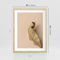 Plakat w ramie 30x40 - Boho suszone liście - suszony, liść - rama drewno